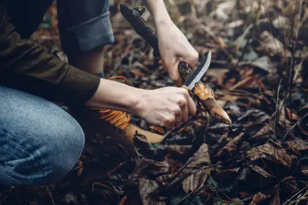 5 Outdoor Adventures You Haven’t Tried Yet (And the Gear You’ll Need)